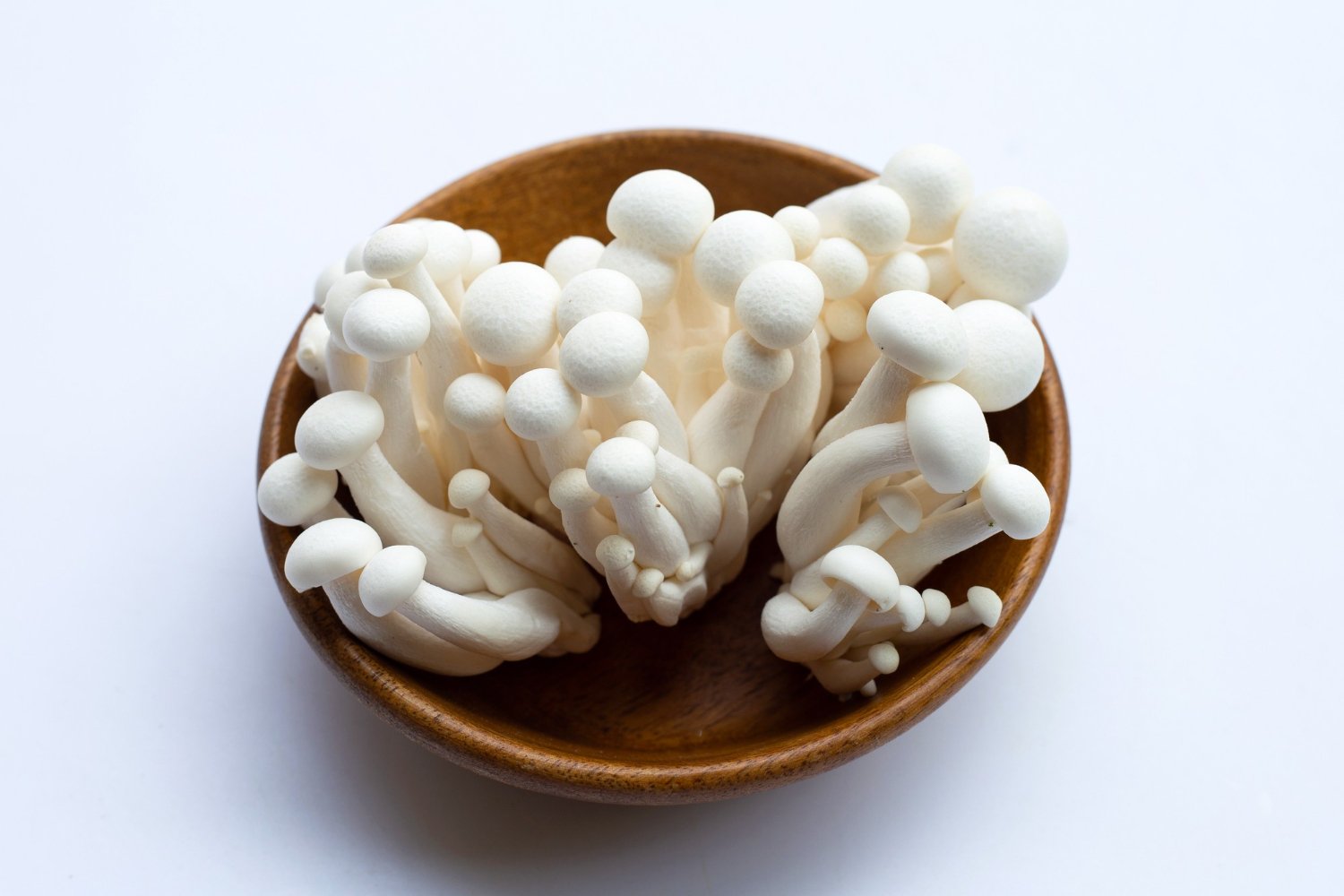 Fresh Milky Mushrooms