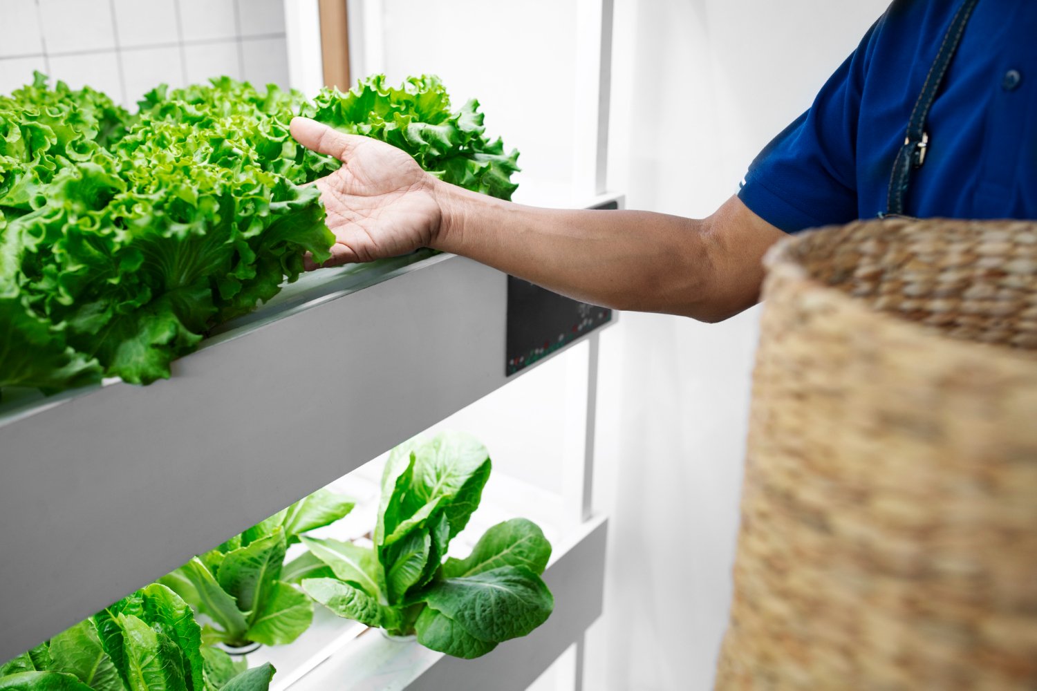 Water recycling system in a modern farm.